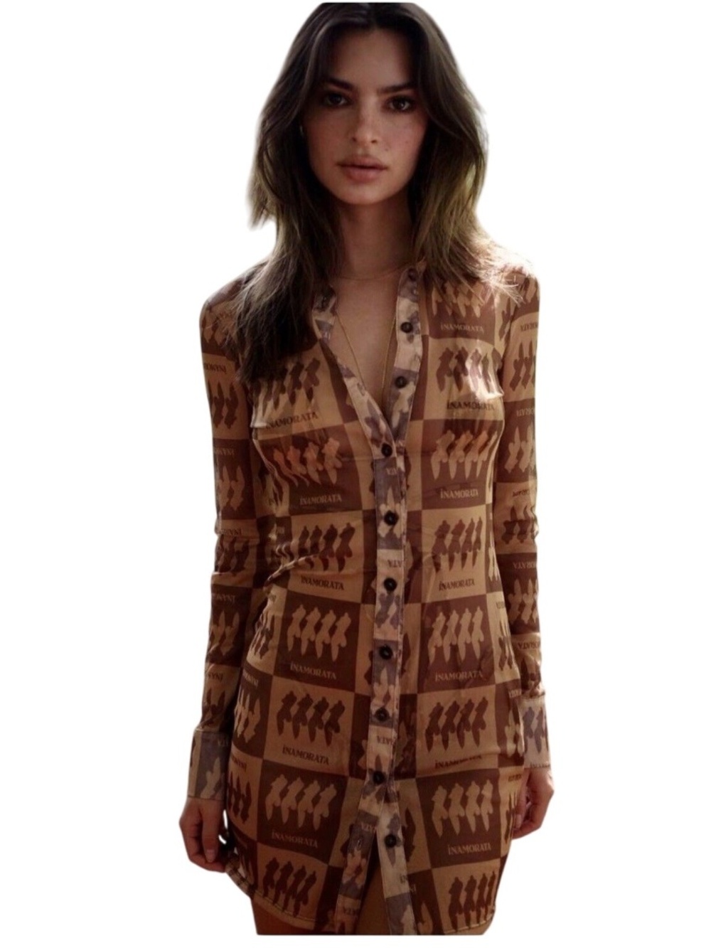 Inamorata Print Mesh Dress Never Worn